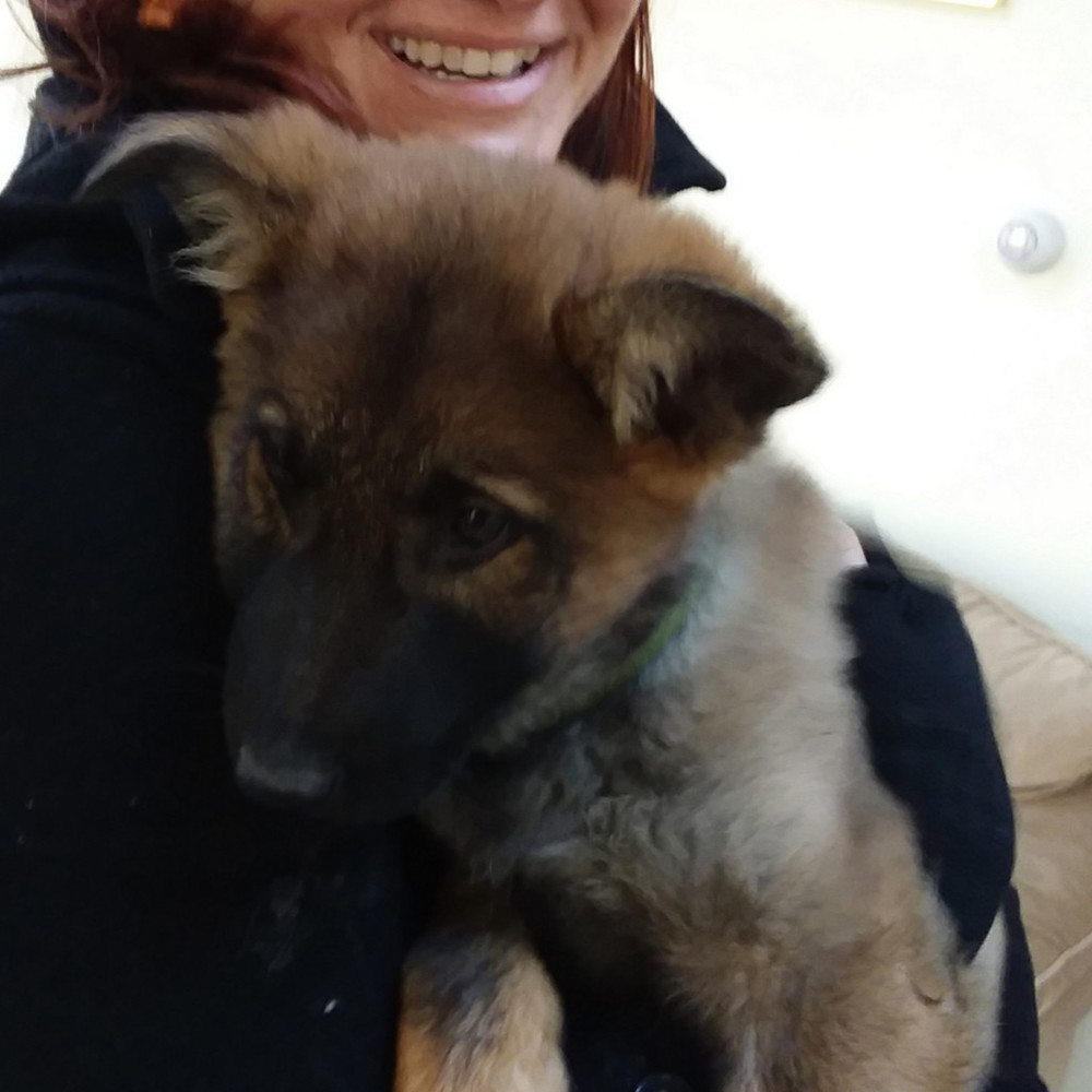 Meet your Posher, Jenn